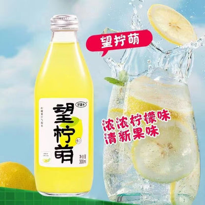 [新货亏本冲销量] 好望水 山楂水 望山楂 望梅好 望桃花 望柠萌 望杏福 望勇橄 望橙功 山楂 杨梅 橄榄 白桃 柠檬 杏果 果汁气泡水 好望水 Hope Water Fruit Sparking Juice (300ml)
