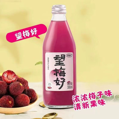 [新货亏本冲销量] 好望水 山楂水 望山楂 望梅好 望桃花 望柠萌 望杏福 望勇橄 望橙功 山楂 杨梅 橄榄 白桃 柠檬 杏果 果汁气泡水 好望水 Hope Water Fruit Sparking Juice (300ml)