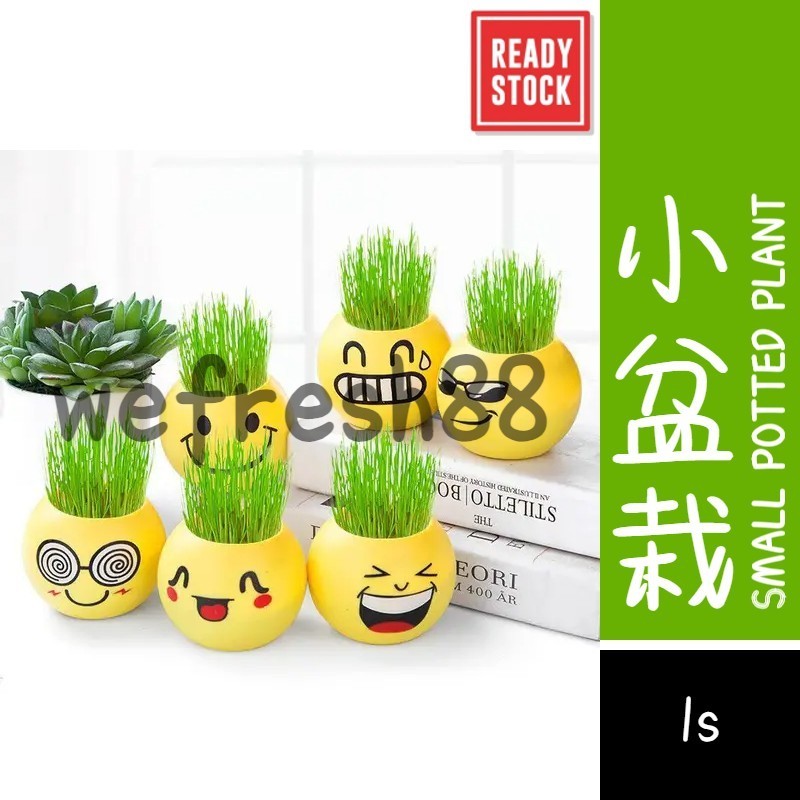 [Limited Offer] （no box，没盒子）（在运输过程中容易导致沙爆开，不接受退款）DIY Emoji Potted Mini Plant Grass Indoor Table Plant 草头娃娃 可爱表情室内小盆栽 (1s