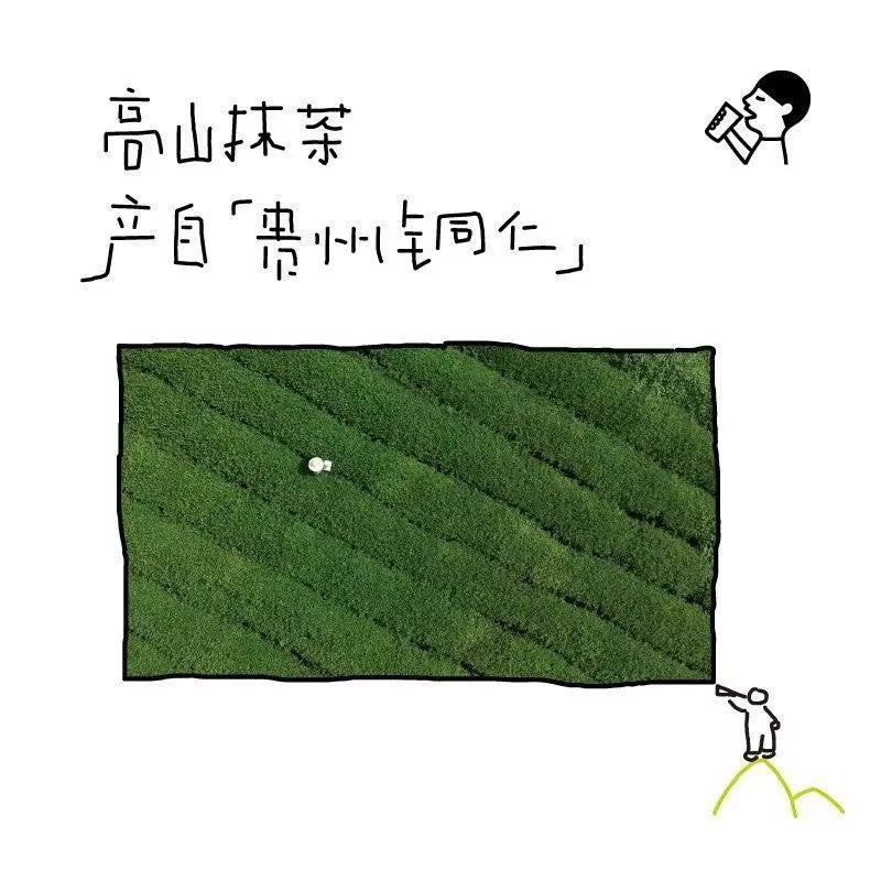 [新货亏卖冲销量] 无糖原味茶饮 茉莉清抹 玉露茶饮料 清抹原味 即饮茶 新日期清爽 0负担 Sugar Free Jasmine Matcha Tea Drink (500ml)