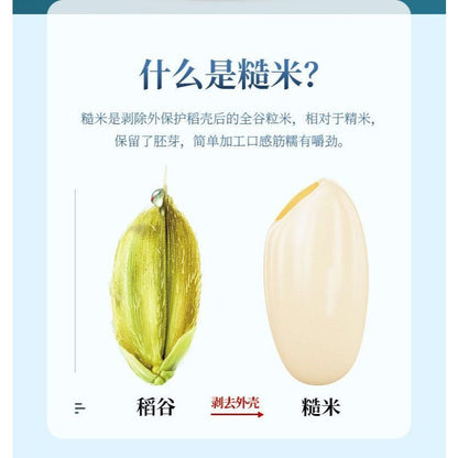 [新货亏本冲销量] 十月稻田 黄小米 五色糙米 小黄米 八宝粥 五谷杂粮 减脂代餐粗粮 October Paddy Mixed Grains Millet High Fibre Low GI (500g)