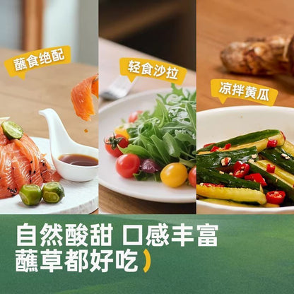 [新货亏卖冲销量] 松鲜鲜 松茸油醋汁 0脂肪沙拉汁 凉拌果蔬 健身轻食 调料蘸料 Matsutake Vinaigrette Dressing 0 Fat (280g)
