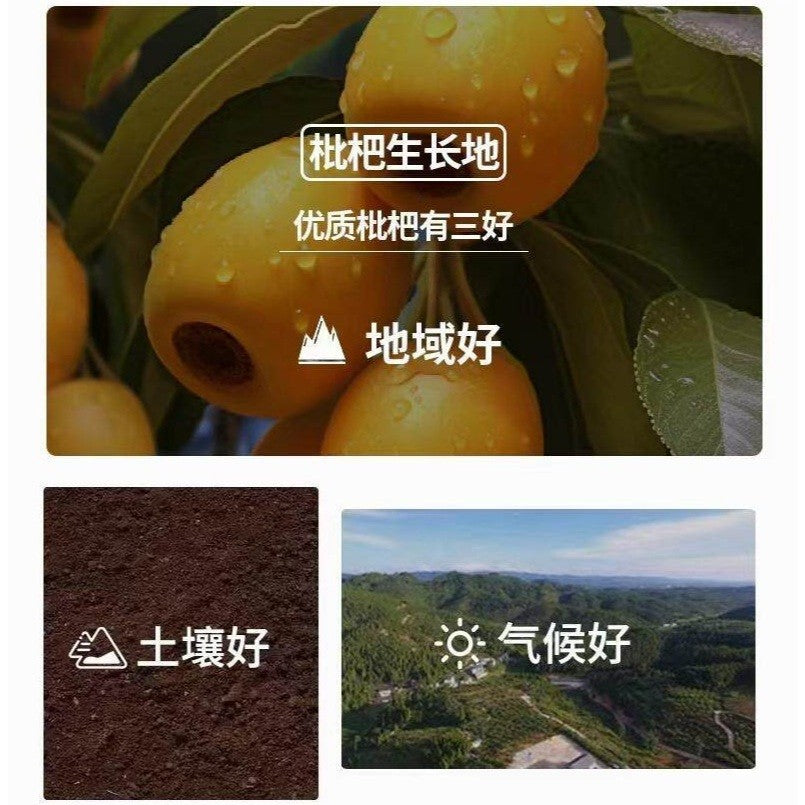 [新货亏本冲销量]  阿珊姐 竹盐枇杷干 无花果 甘草陈皮 正宗潮汕特产 酸甜无核 汉堡山楂 橘红八仙果 A Shan Sister Bamboo Salt Loqut Office Snacks Dried Fruits (202g)