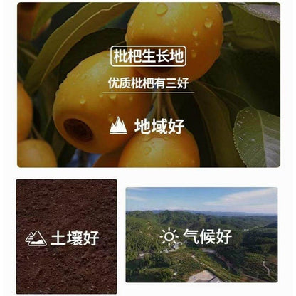 [新货亏本冲销量]  阿珊姐 竹盐枇杷干 无花果 甘草陈皮 正宗潮汕特产 酸甜无核 汉堡山楂 橘红八仙果 A Shan Sister Bamboo Salt Loqut Office Snacks Dried Fruits (202g)