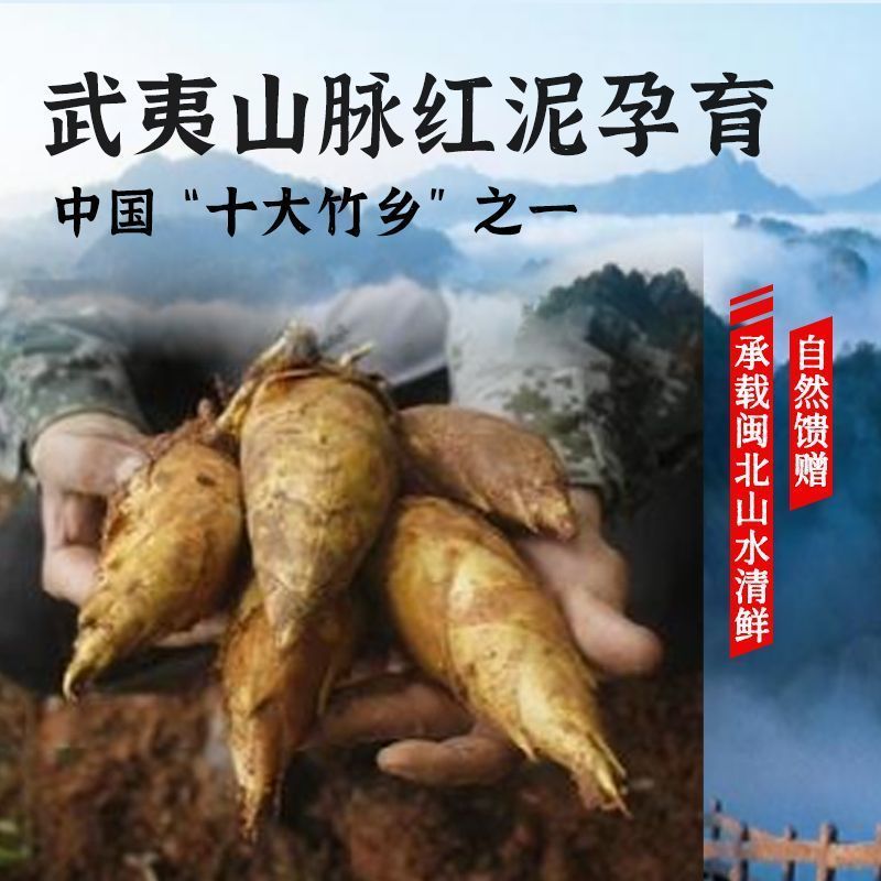 [新货亏卖冲销量] 榛好季 红泥糯米笋 农家新鲜笋尖笋丝 手工下饭菜 方便即食特产 Bamboo Shoot Side Dish (300g)