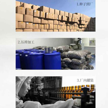 [新货亏卖冲销量] Wazzy 有机纯亚麻籽油 一级冷榨初榨 亚麻籽食用油 轻养生 Organic Flaxseed Oil (250ml)