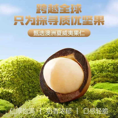 [新货亏卖冲销量] 甘源 熔岩黑巧坚果仁 夏威夷果 榛子仁 巧克力夹心 网红袋装 休闲小零食 Dark Chocolate Nut Bites Snack (20g)