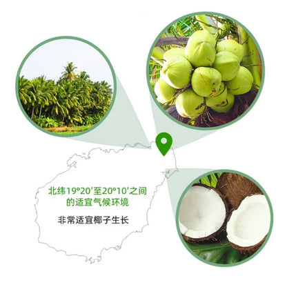 [新货亏卖冲销量] 食尚农场壹号 鲜冷压榨椰子油 初榨生酮 MCT食用油 烘焙 轻食 漱口 养护油 Cold Pressed Coconut Oil (7ml*20)