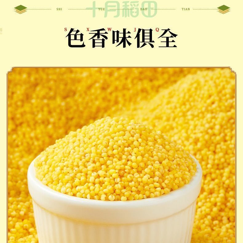 [新货亏卖冲销量] 十月稻田 黄小米 金黄颗粒 家庭煮粥 杂粮米 百搭营养 早餐食堂家用 Golden Millet for Porridge (500g)