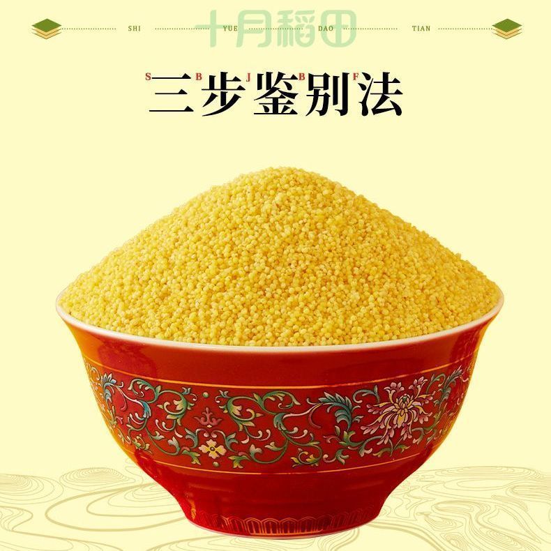 [新货亏卖冲销量] 十月稻田 黄小米 金黄颗粒 家庭煮粥 杂粮米 百搭营养 早餐食堂家用 Golden Millet for Porridge (500g)