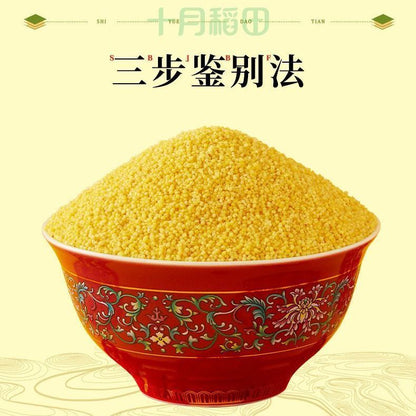 [新货亏卖冲销量] 十月稻田 黄小米 金黄颗粒 家庭煮粥 杂粮米 百搭营养 早餐食堂家用 Golden Millet for Porridge (500g)