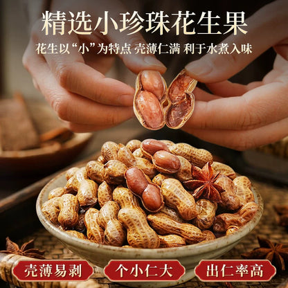 [新货亏本冲销量] 老街口 卤汁花生 带壳 香辣味 五香味 零食小吃下酒菜 Lao Jie Kou Braised Peanuts Spicy Five Spice (250g)