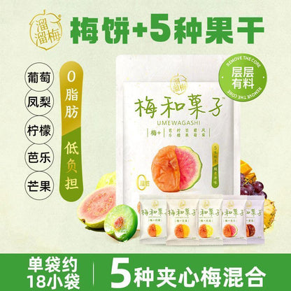 [新货亏卖冲销量] 溜溜梅 梅和菓子 青梅夹水果 无核酸梅干 话梅饼 办公休闲 解馋零食 Plum Fruit Snack Candy (115g)