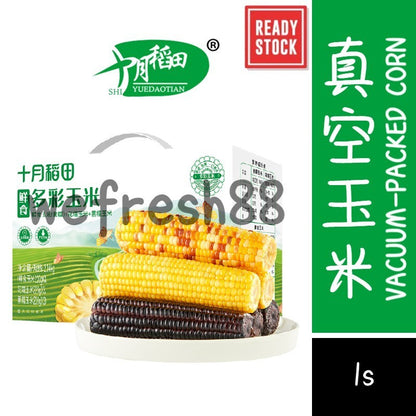 [新货亏本冲销量]  无外包装印刷 十月稻田 黑糯玉米 花糯玉米 白糯玉米 黄糯玉米 东北特产 低脂软糯 含花青素 真空玉米 ShiYueDaoTian Black Glutinous Corn (1s)
