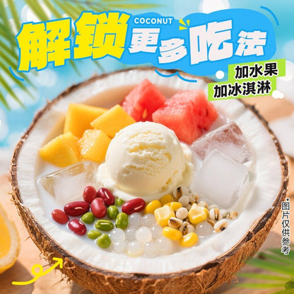 南国 椰奶清补凉 植物蛋白多谷物代餐椰奶饮料 Coconut Milk Dessert Drink Meal Replacement Multi Grain (208g)