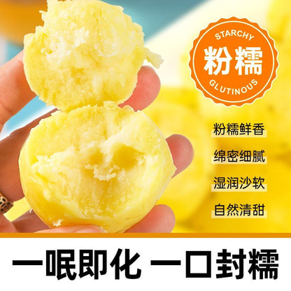[新货亏本冲销量] 滇二娃  高原小土豆 0脂 鲜蒸 粉糯 孜然 黑胡椒  云南高原小土豆 即食代餐健康零食 DianErWa Yunnan Mini Potato 0 Fat Diet Snack Ready to Eat (250g)