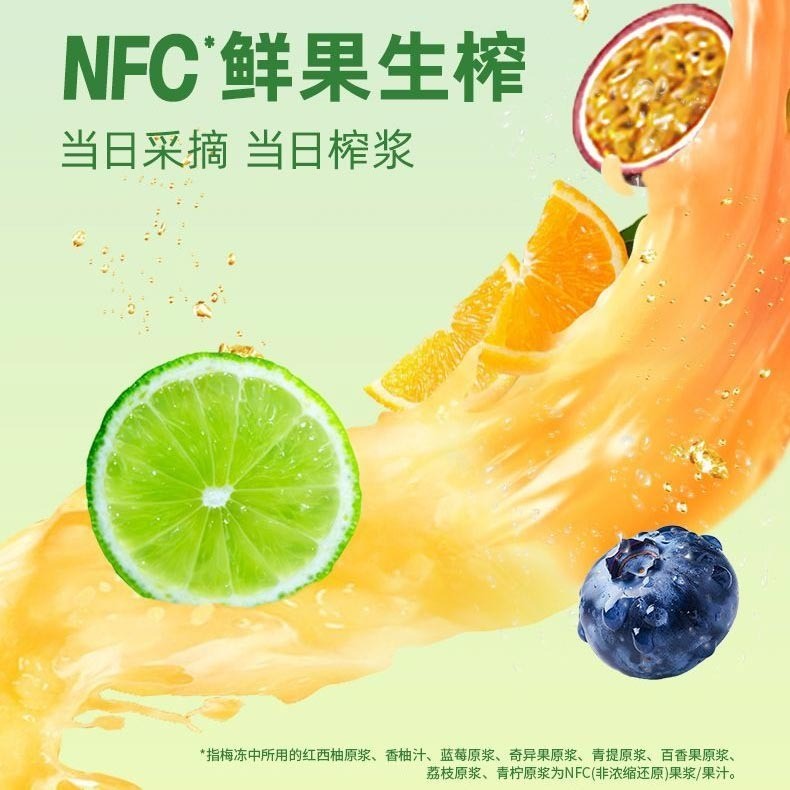 [新货亏卖冲销量] 溜溜梅 梅冻大礼包 水果果冻 0脂肪 0色素 办公室 休闲零食 年货礼包 Plum Jelly Snack Gift Pack (520g)
