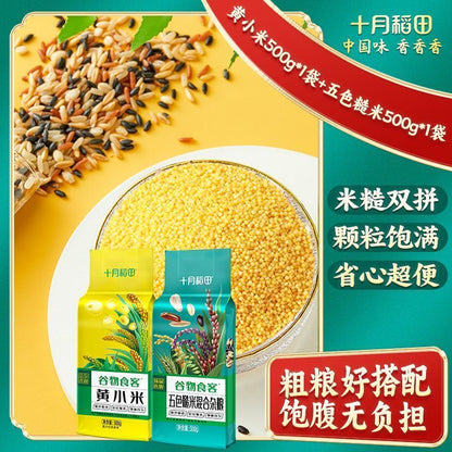 [新货亏卖冲销量] 十月稻田 黄小米 金黄颗粒 家庭煮粥 杂粮米 百搭营养 早餐食堂家用 Golden Millet for Porridge (500g)