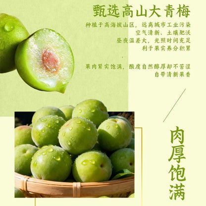 [新货亏卖冲销量] 溜溜梅 梅和菓子 青梅夹水果 无核酸梅干 话梅饼 办公休闲 解馋零食 Plum Fruit Snack Candy (115g)