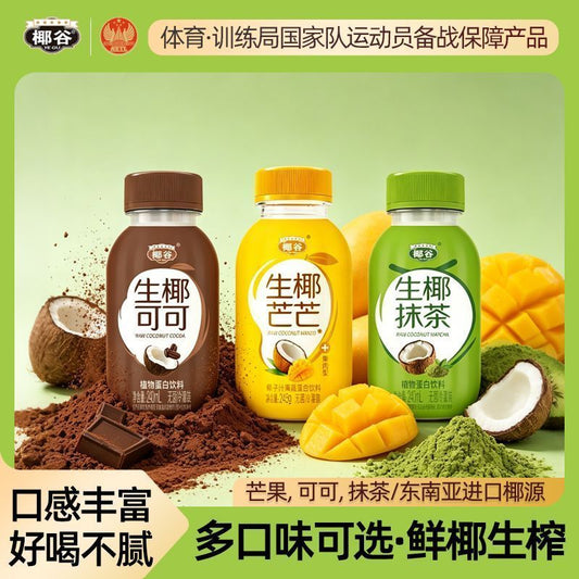 [新货亏卖冲销量] 椰谷 生椰饮料 生椰抹茶 芒芒 可可 低糖椰奶 植物蛋白饮品 Coconut Milk Drink (240ml)