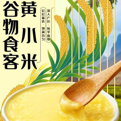 [新货亏卖冲销量] 十月稻田 黄小米 金黄颗粒 家庭煮粥 杂粮米 百搭营养 早餐食堂家用 Golden Millet for Porridge (500g)