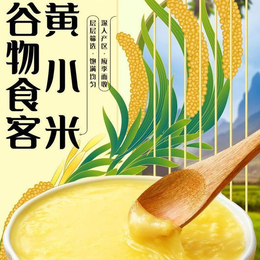 [新货亏卖冲销量] 十月稻田 黄小米 金黄颗粒 家庭煮粥 杂粮米 百搭营养 早餐食堂家用 Golden Millet for Porridge (500g)
