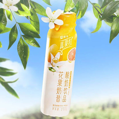 [新货亏本冲销量] 伊利安慕希 AMX 奶昔酸奶 长白山蓝莓 / 新疆哈密瓜 / 丹东草莓 / 芒果百香果 / 橙凤梨 / 黄桃燕麦 / 牛油果燕麦 / 嗒诗咪白桃燕麦  Ambrosial AMX Yogurt Drinks (230g)